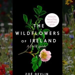 The Wildflowers of Ireland