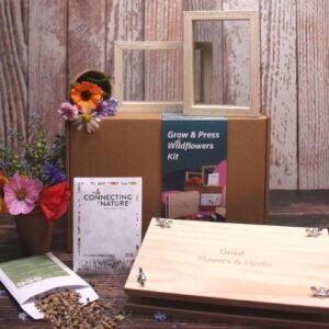 Grow and Press Wildflowers Gift Box