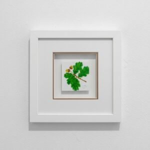 Woodland Oak and Acorn