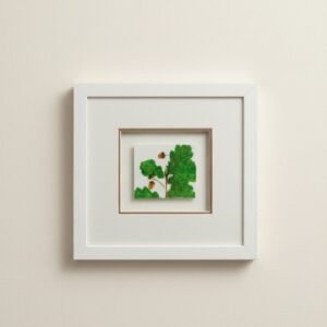 Fallen Oak and Acorn